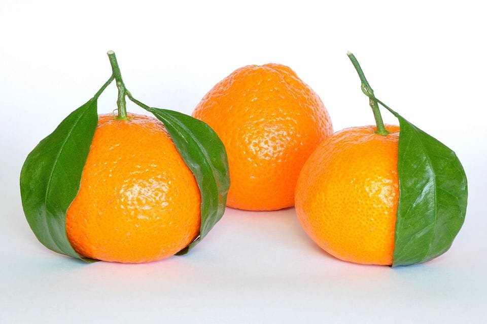 Three mandarins with leaves on a white surface