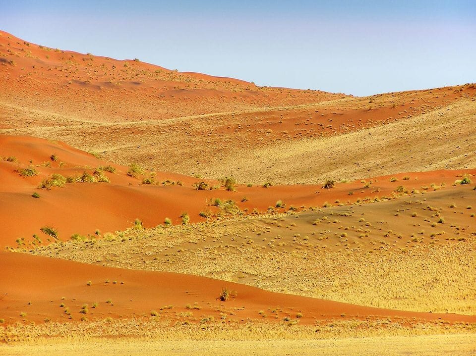 Orange sand dunes with sparse grass under a pale sky