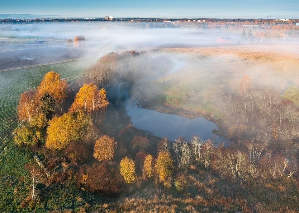 Aerial view of autumn trees and a pond under low morning fog