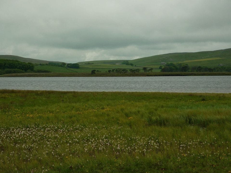 Grassy moorland running down to a grey reservoir under a heavy sky